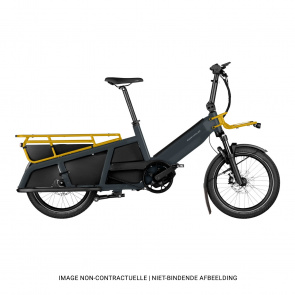 Riese & Muller Riese & Muller Multitinker vario Easy Entry Elektrische Fiets Utility Grey/Curry 2024